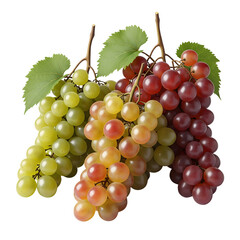 Obraz premium A vibrant trio of grape bunches in green, red, and purple hues, isolated against a white backdrop in a detailed studio shot isolated on transparent background