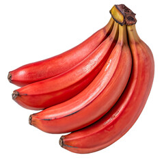 Red Bananas Bunch Isolated on Transparent Background