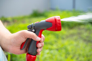 The gardener waters the plants with a hose. A stream of water sprays from a garden hose.