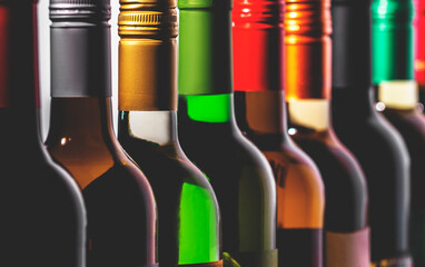 Assorted wine bottles lined up showcasing a variety of colors and styles for a tasting experience