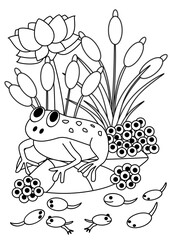 frog in a pond, coloring page