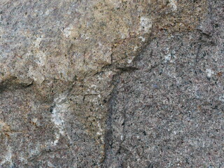 Fine texture of grey-yellow granite boulder in natural setting. Perfect as background. Copy space.