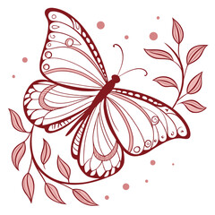 vector illustration of a butterfly