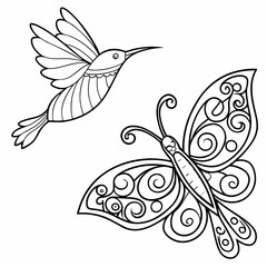 butterfly on white background