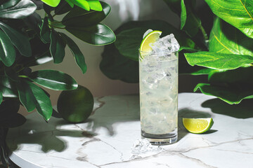 classic mule cocktail is served in a tall glass filled with ice, garnished with fresh lime