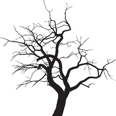 Silhouette of a bare tree with intricate branches against a stark white background in a minimalist style