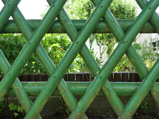 Green painted old picket fence enclosing a garden. Rustic wood with patina. Ideal as background....