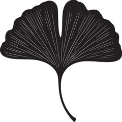 Isolated black ginkgo biloba leaf with radial venation on a white background in minimalist style