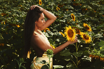 Young model posing in a sunflower field touching a sunflower