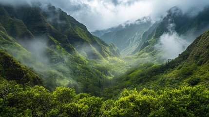 The beauty of untouched nature inspires conservation efforts.