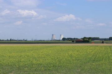 a rural landscape in zeeland with a yellow mustard field in front of the seawall of the westerschelde sea and two big cooling towers in the background in summere