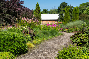 Sunny Summer Garden with Tall Ornamental Grasses and Colorful Flowers in Full Bloom 