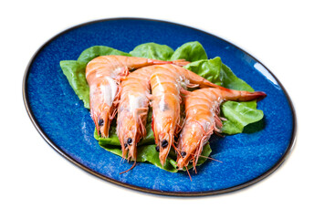 Four Cooked Prawns on a Bed of Lettuce on a Blue Plate Isolated on White