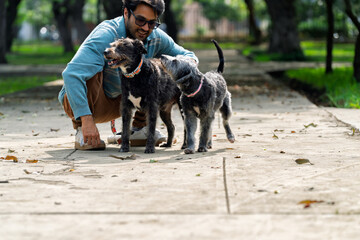 Man enjoying time with two mixed breed dogs in park