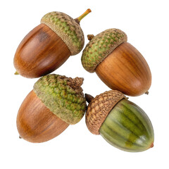 Acorn Trio PNG with Textured Caps on Transparent Background

