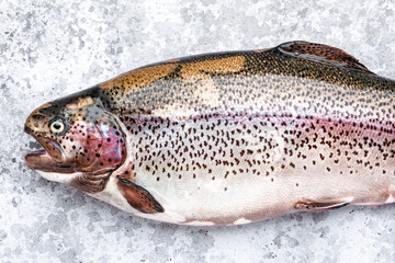 Fresh rainbow trout on grey table background, ready for cooking, top view