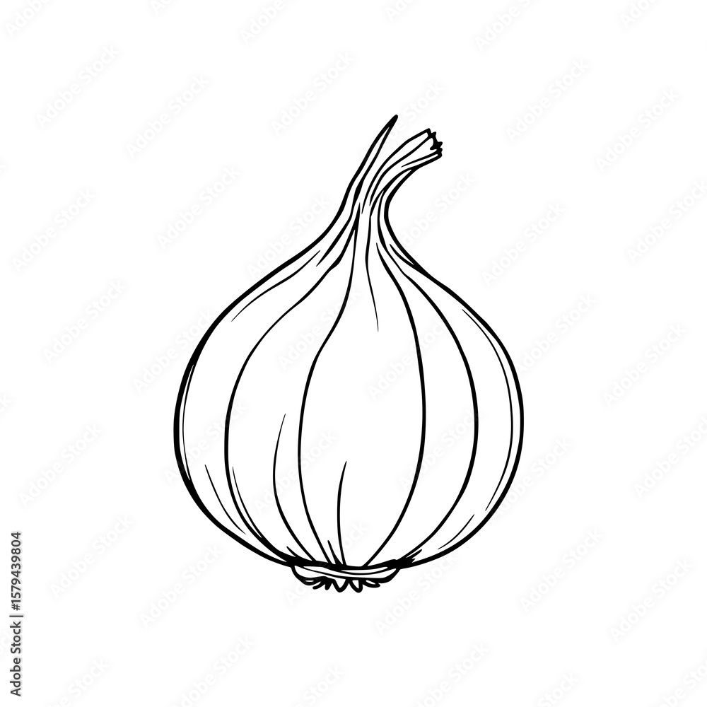Poster onion illustration: a simple line art drawing depicts a single onion, showcasing its layered structu