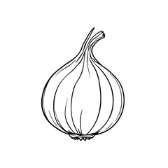 Onion Illustration: A simple line art drawing depicts a single onion, showcasing its layered structure and slightly curved stem.