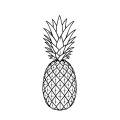 Pineapple Line Art: A bold, monochrome illustration depicts a whole pineapple, showcasing its textured skin and spiky crown in elegant detail.