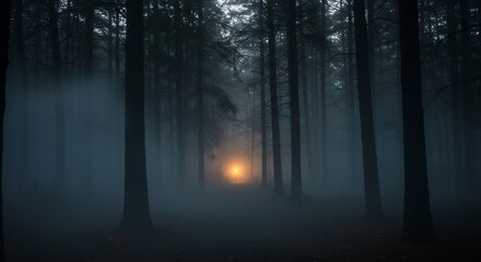 Enigmatic Forest Path Illuminated by a Single Light