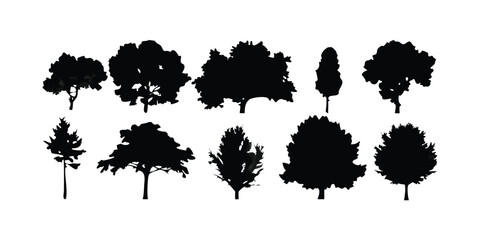 Set of 12 Tree Silhouettes on Transparent Background