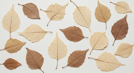 Dried Leaves Autumn Beige Brown Nature