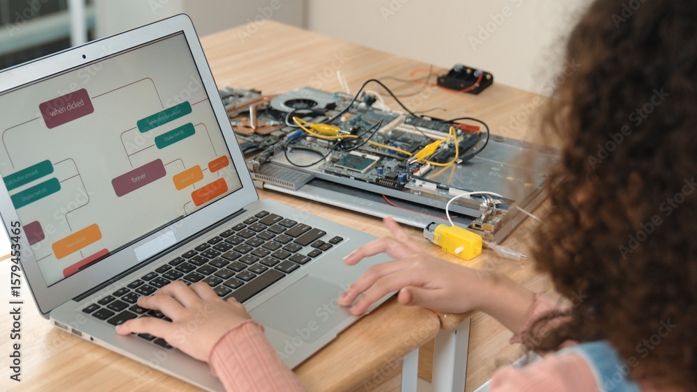 Poster back view of american girl coding engineering prompt while laptop screen display programing software