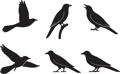 Cuckoo Bird Silhouettes in Flight and Rest silhouettes black and white 