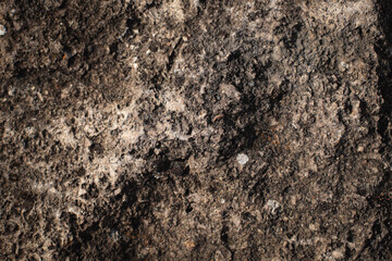 abstract background, sand, metal, stones, textures, wood, plants background
