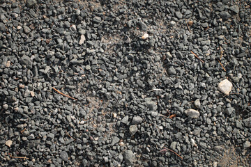 abstract background, sand, metal, stones, textures, wood, plants background