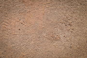 abstract background, sand, metal, stones, textures, wood, plants background