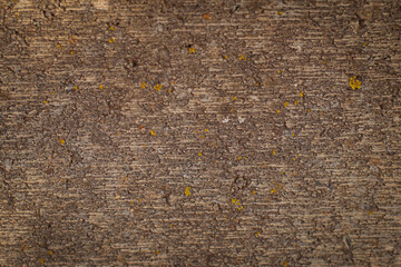 abstract background, sand, metal, stones, textures, wood, plants background