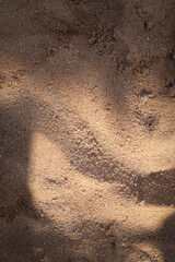 abstract background, sand, metal, stones, textures, wood, plants background