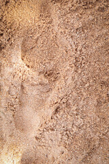 abstract background, sand, metal, stones, textures, wood, plants background