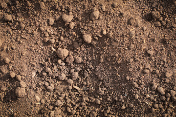 abstract background, sand, metal, stones, textures, wood, plants background