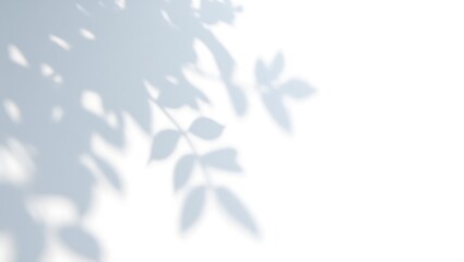 The shadow of leaves creates an abstract pattern on a white wall