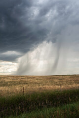 Rain spills over the cloud deck onto a wheat field in Nebraska.