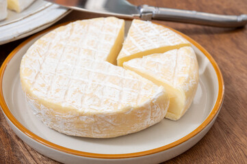 French soft cheeses collection, creamy cow's milk cheese le paysan and brie with white mold, France