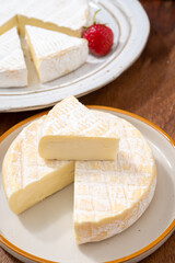 French soft cheeses collection, creamy cow's milk cheese le paysan and brie with white mold, France