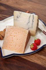 Two pieces of Spanish hard cheese, cow and sheep curado, manchego, goat cheese with added black truffle mushrooms and very old anejo tostado cheese