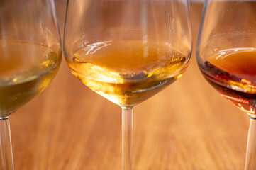 Visit of wine cellar with old large oak barrels, tasting of fortified dry or sweet tasty marsala wine in Marsala, Sicily, Italy