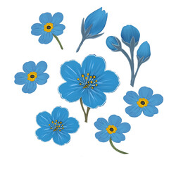 Seamless floral pattern with blue flowers. PNG illustration with transparent background for textile, wallpaper, wrapping, or fabric design