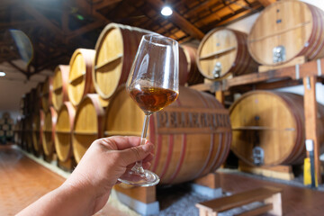 Visit of wine cellar with old large oak barrels, hand holding glass of fortified dry or sweet tasty marsala wine from barrels in Marsala, Sicily, Italy