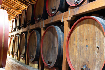 Visit of wine cellar with old large oak barrels, production of fortified dry or sweet tasty marsala...