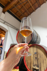 Visit of wine cellar with old large oak barrels, glass of fortified dry or sweet tasty marsala wine from barrels in Marsala, Sicily, Italy