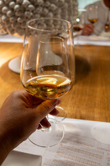 Visit of wine cellar with old large oak barrels, tasting of fortified dry or sweet tasty marsala wine in Marsala, Sicily, Italy