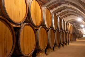 Visit of wine cellar with old large oak barrels, production of fortified dry or sweet tasty marsala...