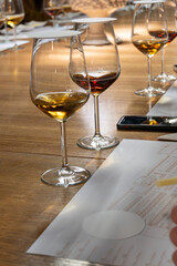 Visit of wine cellar with old large oak barrels, tasting of fortified dry or sweet tasty marsala wine in Marsala, Sicily, Italy