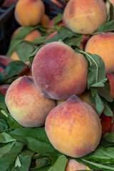 New harvest of fresh ripe sweet yellow-red peaches fruits in Provence, south France