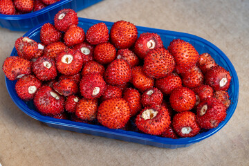 Box of fresh aromatic ripe red wild fragolino strawberries for sale in small town Nemi, Castelli Romani, near Rome, Italy